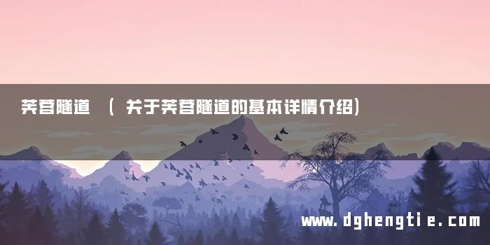 芙蓉隧道 (关于芙蓉隧道的基本详情介绍)